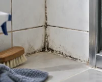 Penészedő fürdőszobai fuga: tisztítás vagy teljes felújítás?